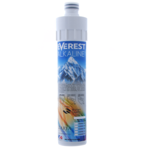 Everest - 100